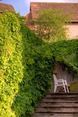 Just one_4799537077_l.jpg